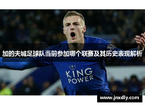 加的夫城足球队当前参加哪个联赛及其历史表现解析
